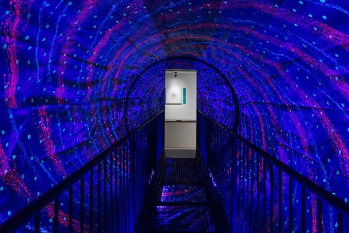 Step into a mesmerizing tunnel of light and color where every twist distorts perception. Discover the fascinating illusions that challenge your senses at Dubai's Museum of Illusions.
